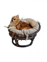 Кресло папасан - мини 23/01Е, цвет: темно - коричневый. Фото №1