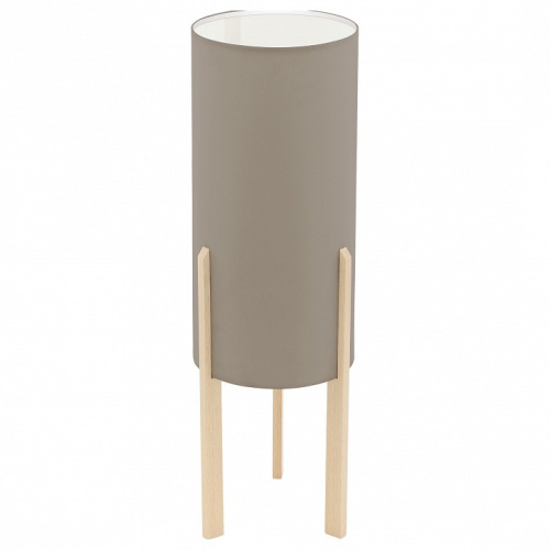 Настольная лампа декоративная Eglo ПРОМО Campodino 97894. Фото №1