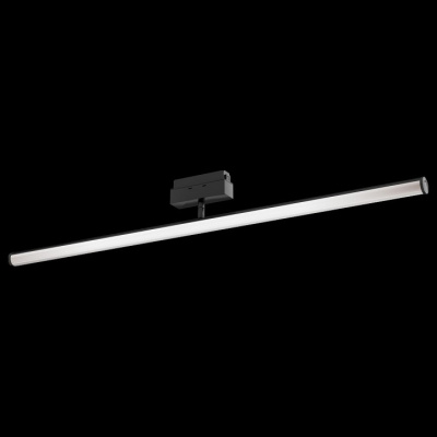 Светильник на штанге Maytoni Track lamps 3 TR026-2-14B4K. Фото