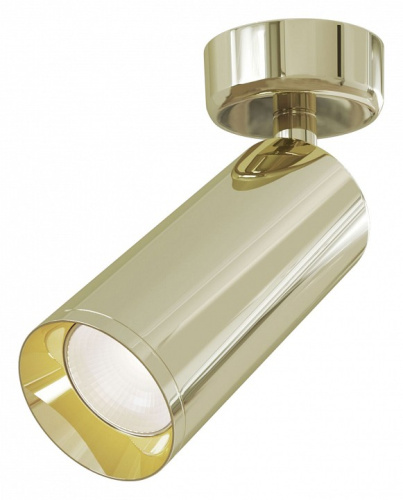 Спот Maytoni Focus C017CW-01G. Фото №1