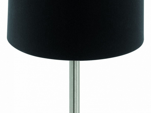 Настольная лампа декоративная Eglo Pasteri 94917. Фото №2